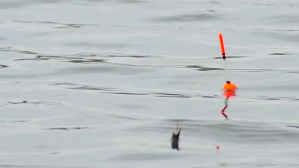 Fiske bobber på vattnet — Stockvideo