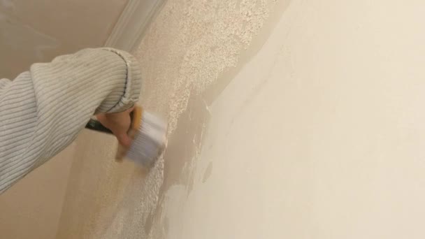 L'uomo ottiene manualmente gesso di gesso sulla parete — Video Stock