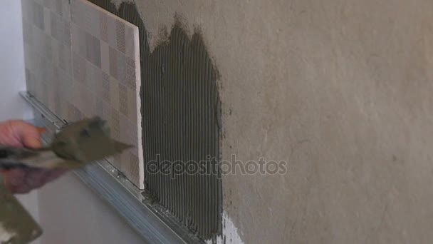 Att sätta keramiska lim på väggen — Stockvideo
