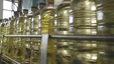 Bir fabrikada ayçiçek yağı üretimi