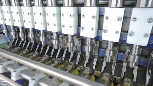 Sunflower Oil Factory, Manufacturing — Stock Video