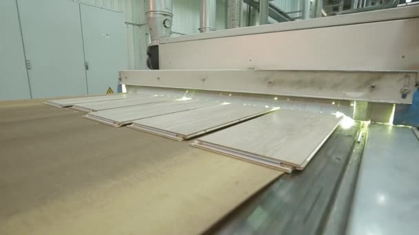 寄木細工の床の近代的な生産 — ストック動画