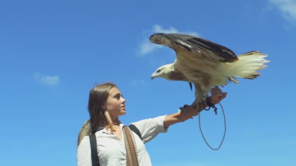 Eagle and Girl Look at each other — стоковое видео