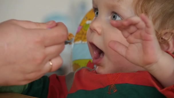 Anne erkek bebek besleme — Stok video