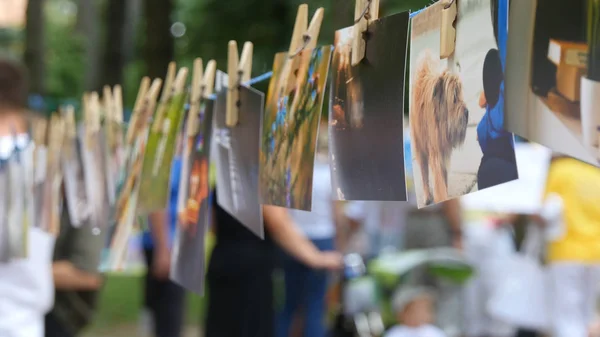 bir ipte asılı Fotoğraflar