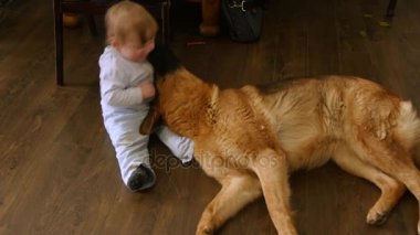 Küçük çocuk ile onun en iyi arkadaşı köpek