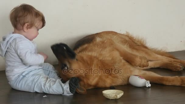 Kleiner Junge mit seinem besten Freund Hund — Stockvideo