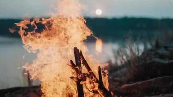 La fogata arde brillantemente al atardecer — Vídeo de stock