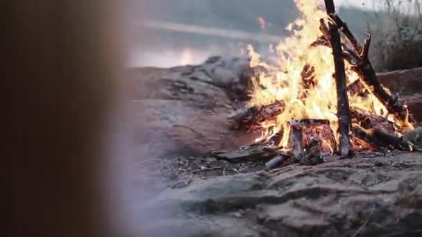 坐在篝火旁的年轻女子 — 图库视频影像