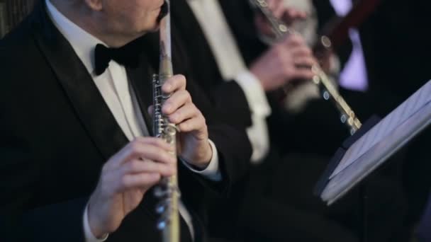 Cuatro músicos en el restaurante — Vídeo de stock