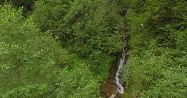 Corriente suave sedosa de agua clara — Vídeos de Stock