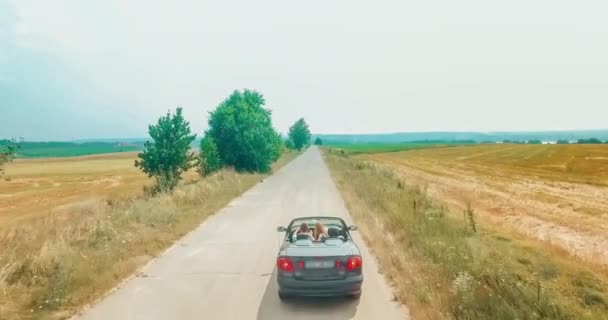 Feliz joven pareja disfrutando de viaje por carretera — Vídeo de stock