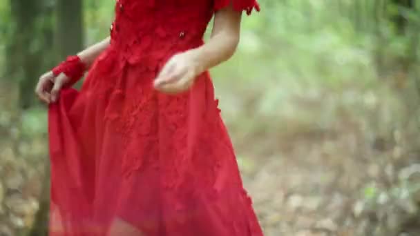 Pretty Woman explore une belle forêt — Video