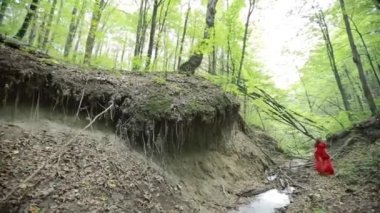 Güzel kadın ormanda yürüyüş