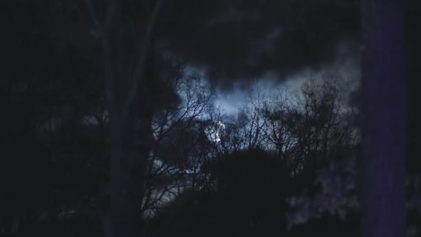 Nacht mysterieus landschap — Stockvideo