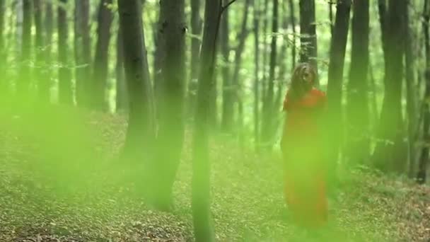 Pretty Woman explore une belle forêt 