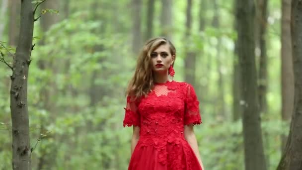 Romantique fille élégante dans la forêt — Video