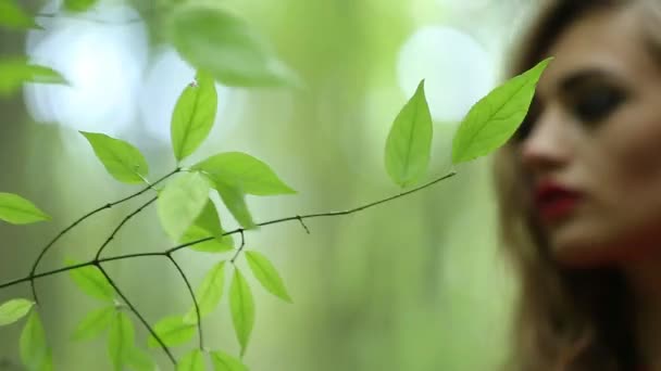 Joven belleza chica tocando hoja — Vídeo de stock