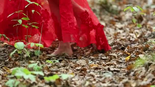 Vacker kvinna promenader i skogen — Stockvideo