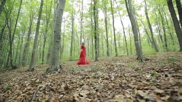 Mooi meisje lopen in het bos — Stockvideo