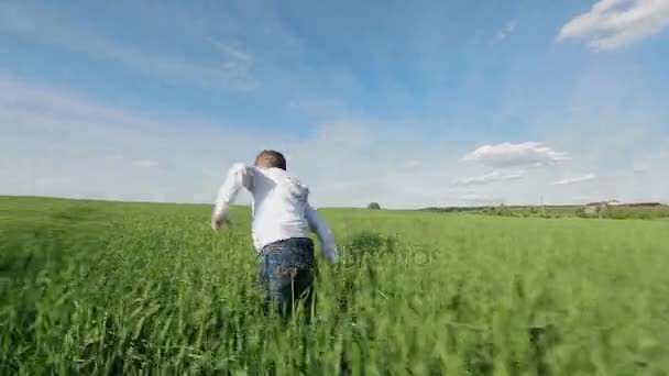 Jongen lopen door het gebied — Stockvideo