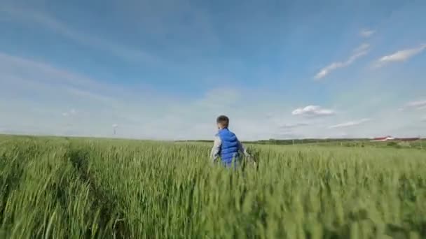 Niño en el prado — Vídeo de stock