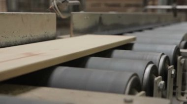 Ağaç işleme fabrika üretim hattında