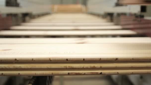 Fábrica de revestimento de madeira — Vídeo de Stock