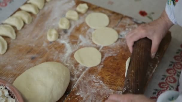 Cook dumplings maken — Stockvideo