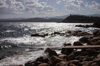 Sardunya akşam deniz kenarında