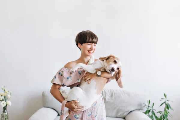 Cheerful young woman in trendy wristwatch holding her big puppy with black nose and laughing. Indoor portrait of smiling girl with dark short hair posing with beagle dog on gray background at home..