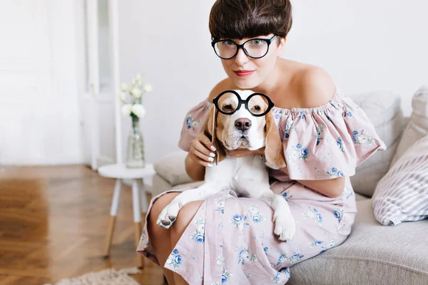 Close-up portrait of beagle dog with big sad eyes and cheerful girl with short haircut holding glasses. Indoor photo of young woman in pretty pink dress hugging her pet with smile..