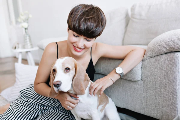 Amazing young woman wears striped pants and wristwatch posing on the floor while playing with beagle dog. Indoor portrait of happy girl with nude makeup spending time at home with puppy..