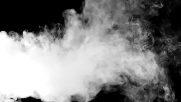 Movement of white smoke.black background. Smoke from cigarettes. Vape — Stock Video