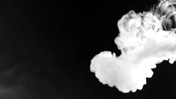 Mișcarea de fum alb fundal negru. Fum din ţigări. Vape — Videoclip de stoc