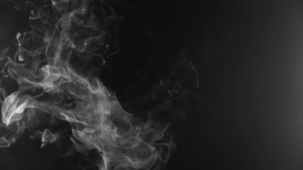 Movimento di fumo bianco.sfondo nero. Fumo dalle sigarette. Vaporizzatore — Video Stock