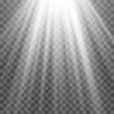 Spot beyaz ışık. Saydam bir arka plan üzerinde ışık etkisi için şablon. Vektör çizim