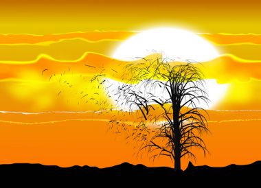 Bir ağacın bir Afrika güneşin ve bulutların altında birkaç silüeti Illustration. Güçlü bir rüzgar dalları kırma.