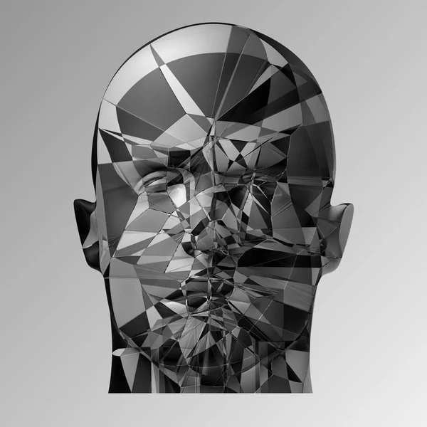 Cabeza rota, ilustración en 3D. La cara dividida de una persona — Archivo Imágenes Vectoriales