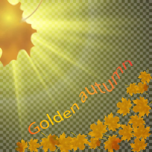 Κίτρινα φύλλα πέφτουν κάτω από τον ήλιο. Διαφανές φόντο — Διανυσματικό Αρχείο