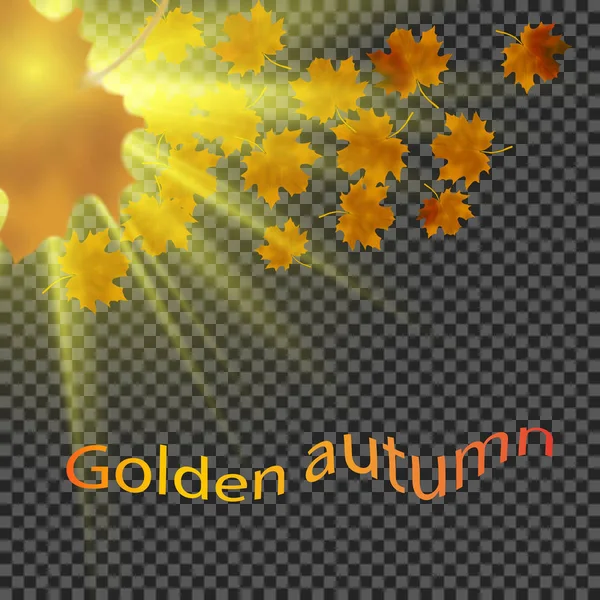 Folhas amarelas caem ao sol. Fundo transparente — Vetor de Stock