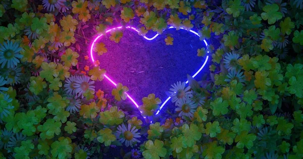 Rendering Cuore Neon Amanti Fiori Campo Natura Colori Vivaci Neon — Foto Stock