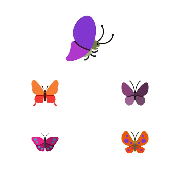 Flache Schmetterlingsgruppe von Sommerinsekten, Danaus plexippus, Archippus und anderen Vektorobjekten. gehören auch Insekten, Archipel, Mottenelemente. — Stockvektor