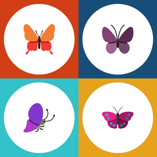Lapos pillangó nyári rovar, Danaosz Plexippus, lila szárny és egyéb vektoros objektumok halmaza. Magában foglalja a pillangó, uralkodó, Arkhippusnak elemek. — Stock Vector