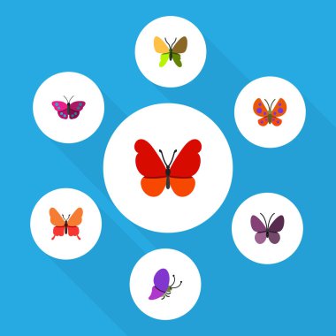 Düz Monarch Danaus Plexippus, Menekşe kanat, güzellik sinek ve diğer vektör nesneleri kümesi. Ayrıca yaz, Archippus, böcek öğeleri içerir.