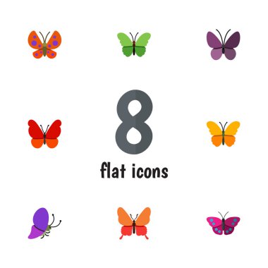 Düz Kelebek kelebek, Danaus Plexippus, Menekşe kanat ve diğer vektör nesneleri kümesi. Ayrıca güve, kelebek, süt kardeş öğeleri içerir.