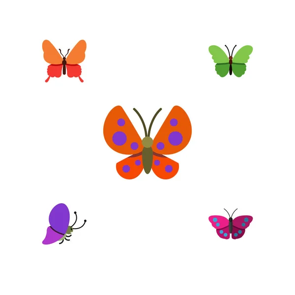 Conjunto plano del monarca de la ambrosía, la polilla, el insecto del verano y otros objetos del vector. También incluye mariposa, arquipo, elementos de maleza de leche . — Vector de stock