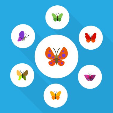 Düz güve yaz böcek, güve, süt kardeş ve diğer vektör nesneleri kümesi. Ayrıca Archippus, güve, süt kardeş öğeleri içerir.