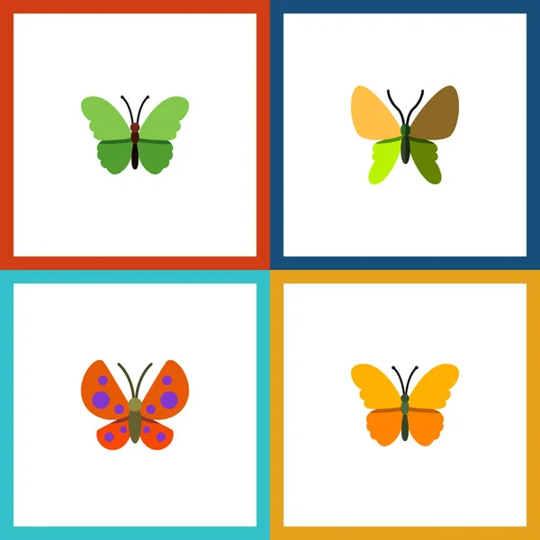 Flachschmetterling Set von Motten, Milchkraut, Schmetterling und anderen Vektorobjekten. auch Schmetterling, Motte, Monarch-Elemente. — Stockvektor