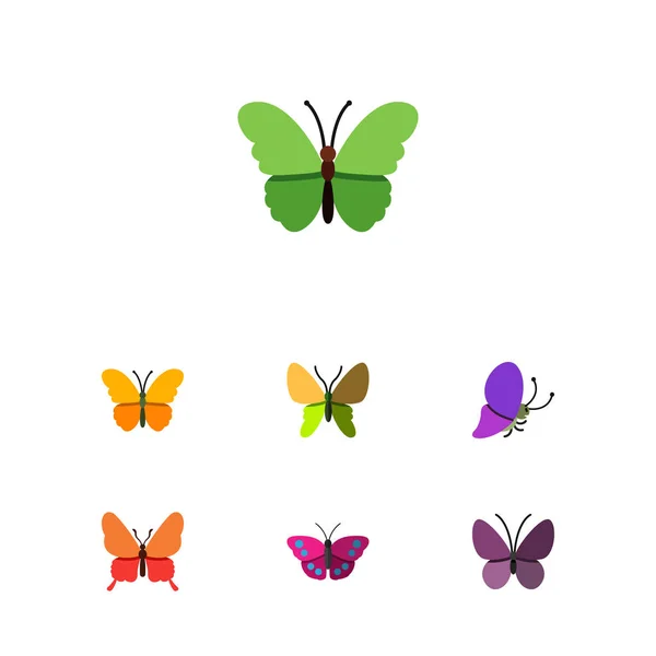Motyl płaski zestaw Danaus Plexippus Archipa, letnich insektów i innych obiektów wektorowych. Również elementy, lato, Archipa, Motyl. — Wektor stockowy